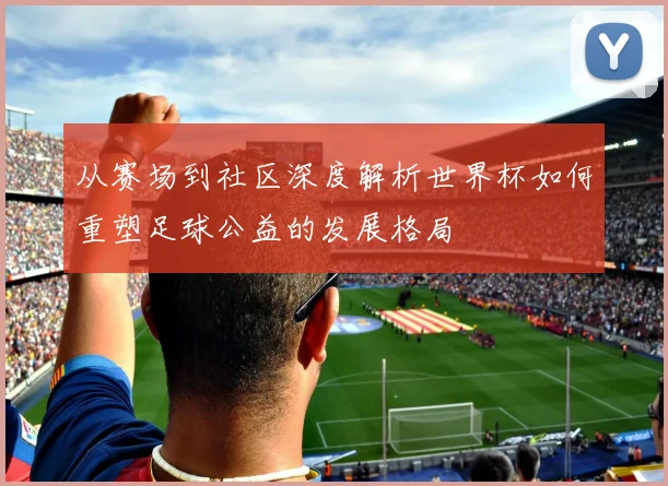 从赛场到社区深度解析世界杯如何重塑足球公益的发展格局