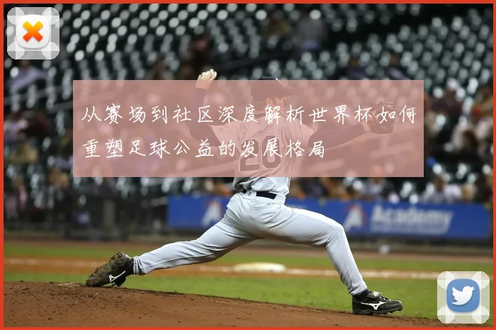 从赛场到社区深度解析世界杯如何重塑足球公益的发展格局