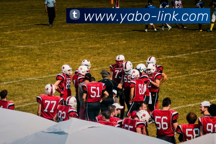 亚博体育：引领数字化竞技内容传播与交互的新标准发展历程